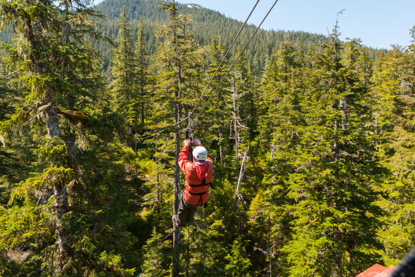 Your tree top adventure expectations