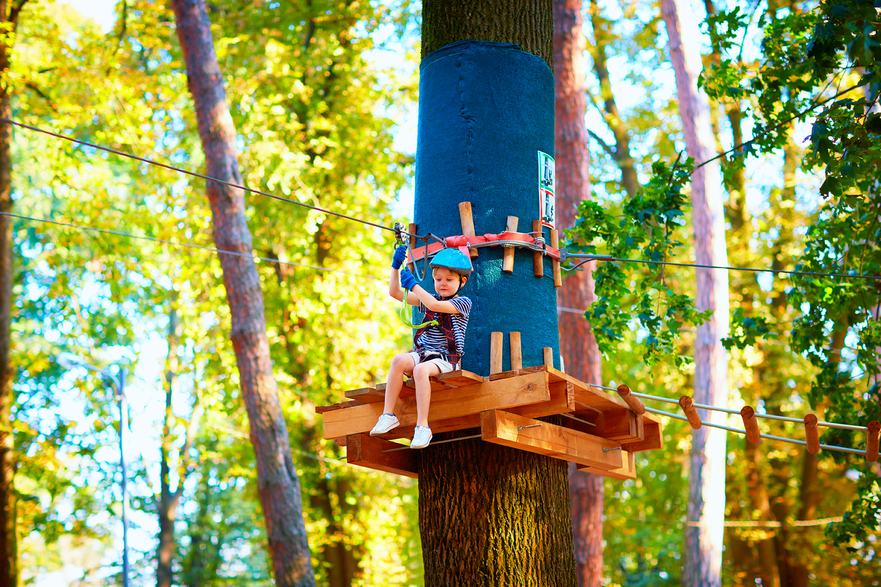 Young boy on a tree top adventure sitting on a deck